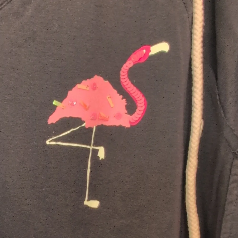Black Casual Hoodie with Flamingos